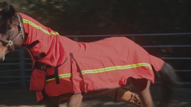 EQUISAFE Fire Retardant Evacuation Blanket